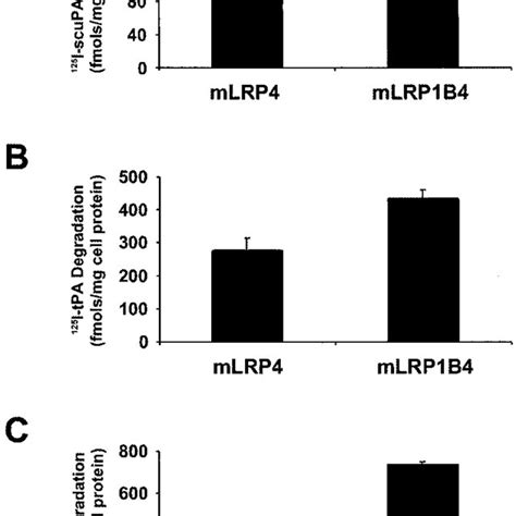 Schematic Domain Structure Comparison Of LRP1B And LRP And Their Domain