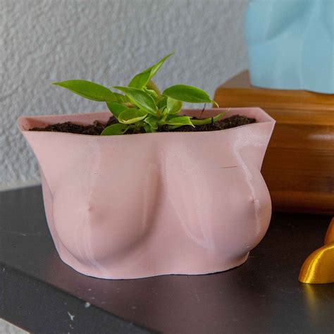 Boob Planter Etsy