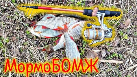 МормоБОМЖ Мормо спиннинг дешевле 1000 рублей - YouTube