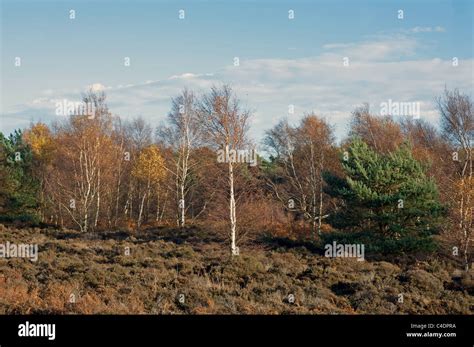 Suffolk Landscape Hi Res Stock Photography And Images Alamy