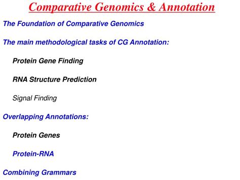 Ppt Comparative Genomics And Annotation Powerpoint Presentation Id