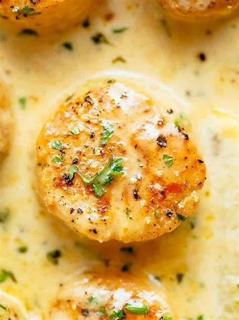 24 Bay Scallop Recipes Thatll Make Your Taste Buds Sizzle