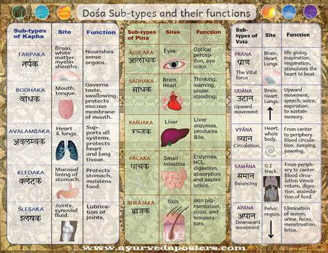 Dosha Sub Type Chart Ayurveda Posters