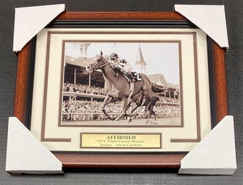 Affirmed 8x10 Framed Photo 1978 Triple Crown Winner Steve Cauthen At