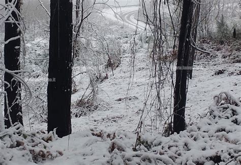 Torna Linverno In Calabria Il Reventino Si Risveglia Innevato Il