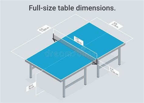 Full-size Table Dimensions. Vector. Stock Illustration - Illustration ...