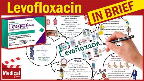 Levofloxacin ( Levaquin ): What is Levofloxacin Used For, Dosage, Side ...