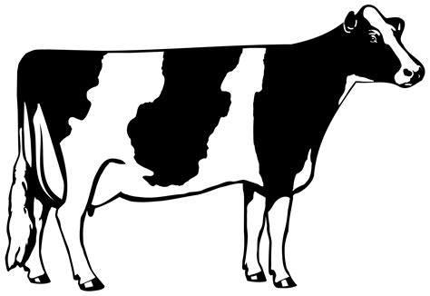 template printable