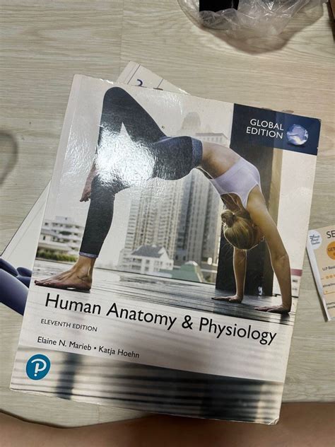 Human Anatomy & Physiology Textbook, Hobbies & Toys, Books & Magazines ...