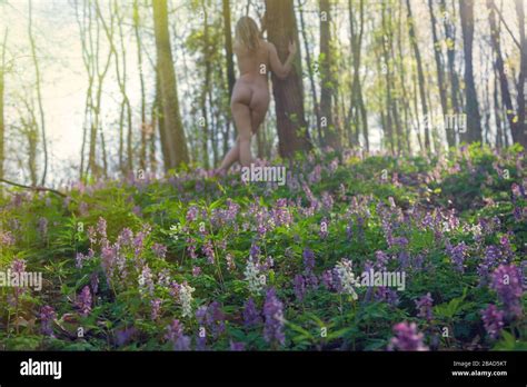 Naked Girl In Spring Flower Field In A Forest Stock Photo Alamy