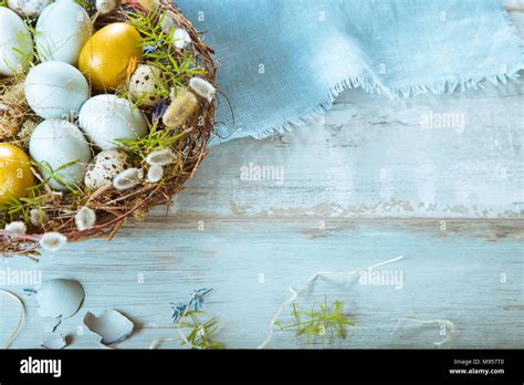 Easter Background With Easter Blue And Gold Eggs Pussy Willow And Spring Flowers Top View