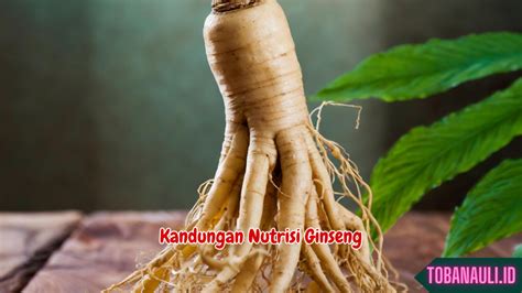 Mulai Hidup Sehat Pahami 6 Manfaat Ginseng Untuk Kesehatan Tubuh Yang