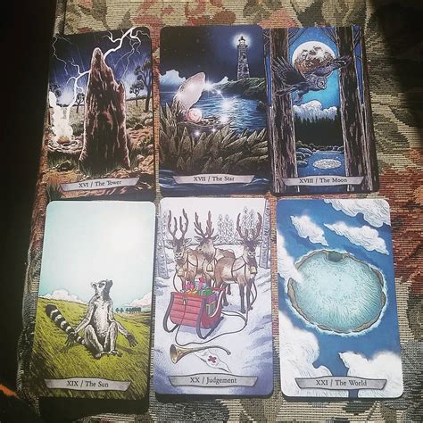 Animal Totem Tarot Lt Tarot