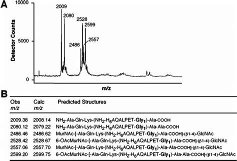 Cell Wall Anchor Structure Of Surface Proteins In FemB Mutant