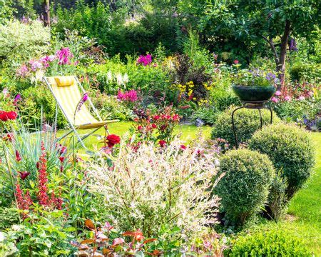 tips information  gardening   gardening