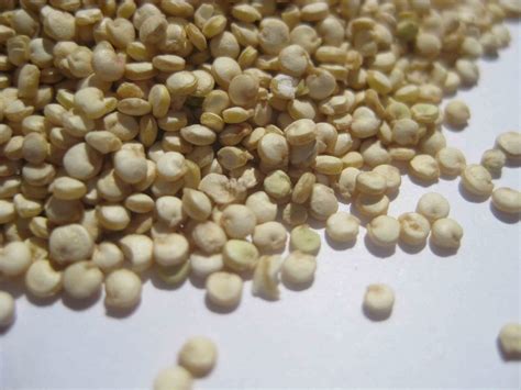 Organic Quinoa White Seed 3 Kg Bulk Free From Gluten And Allergens Quilla Foods From Natural