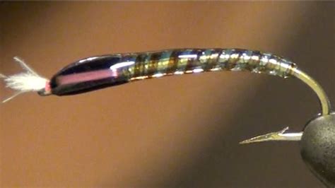 Uv Buzzer Chironomid Fly Tying Instuctions And Tutorial — In The Riffle