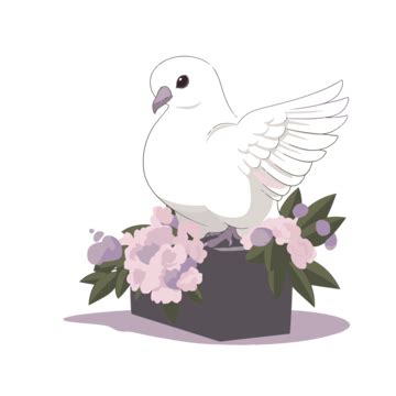 Funeral Dove PNG Vector PSD And Clipart With Transparent Background