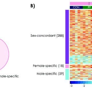 Pae Induced Sex Concordant And Sex Specific Alterations To Dna