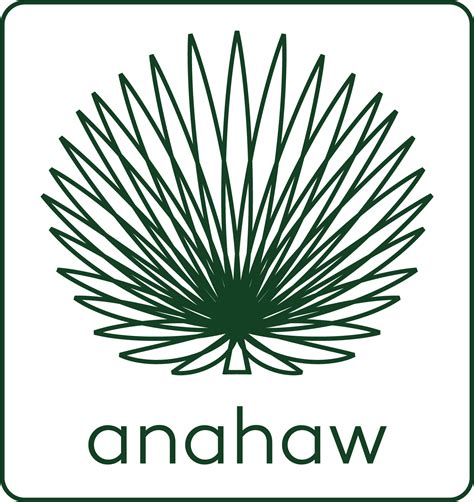 Anahaw Leaf Drawing