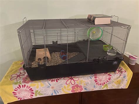 Upgraded Jeffrey’s cage! : r/hamsters