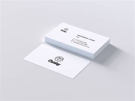 Pet shop logo :: Behance