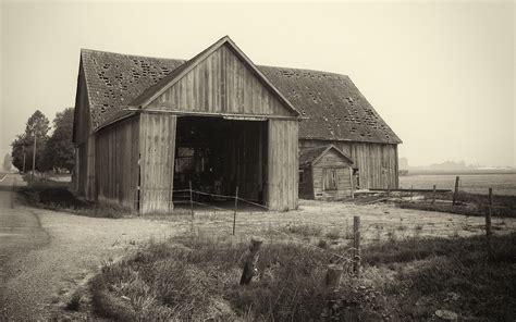 Barn Hunt | Page 2 | Cameraderie Photography Forum