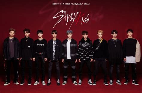 JYP's 'Stray Kids' unveil the 9 members