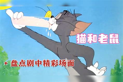 猫和老鼠：盘点剧中精彩场面，汤姆戏耍黑猫，结果被疯狂报复 汤姆 场面 结果