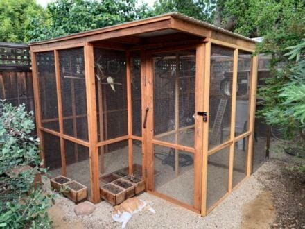 10 Outdoor Walk-In Aviary Ideas and DIY Plans