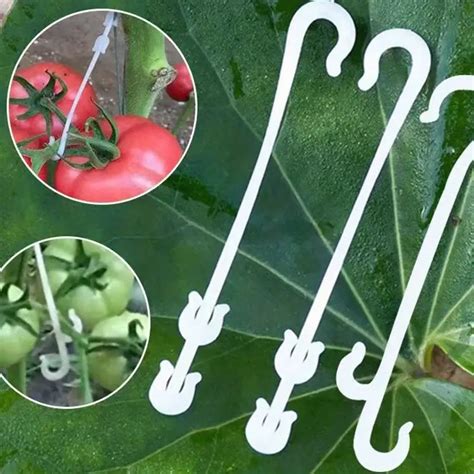 10pcs Plastic Fruit Support Hooks Tomatoes Vegetable J Hook Tomato Truss Hooks For Supporting