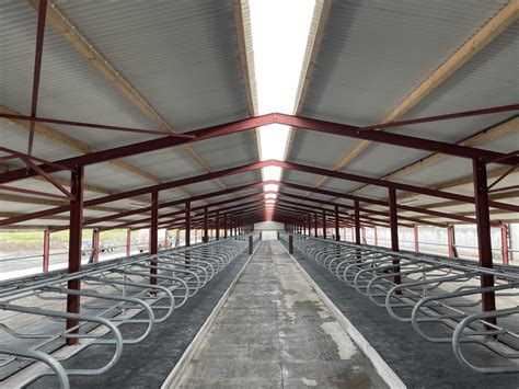 Adjustable Cantilever Cubicle Cow Cubicles