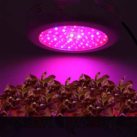 Full Spectrum Led Grow Light W W W Double Chips Ac V