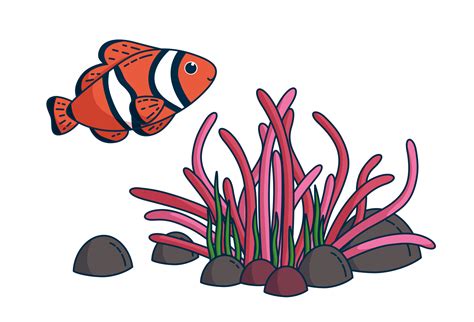 Clownfish And Anemone Vector Illustration Vector Art At Vecteezy