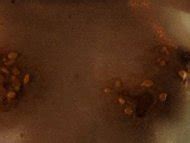 Regan Deal Nude Pics Videos Sex Tape