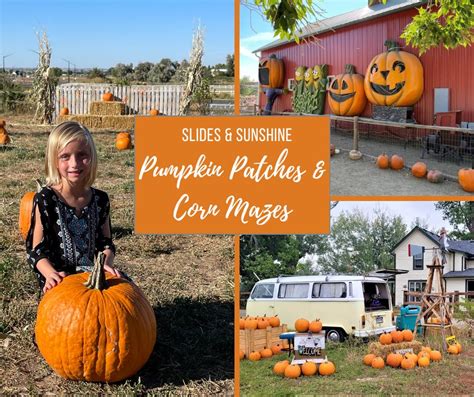 Fall Fun in CO: Pumpkin Patches & Corn Mazes | Slides and Sunshine