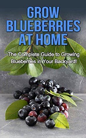 Grow Blueberries At Home The Complete Guide To Growing Blueberries In