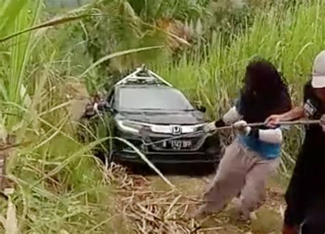 Aneh Tapi Nyata Mobil Google Maps Tersesat Jalan Buntu Perkebunan Tebu