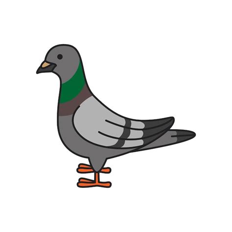 Premium Vector Cute And Simple Pigeon Vector Illustration