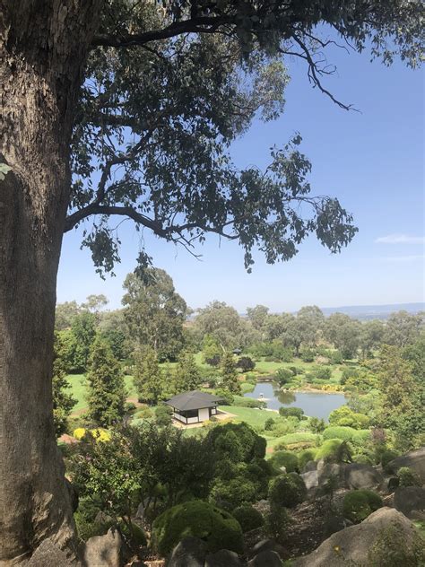 RECENT TRAVELS Cowra Japanese Garden, Cowra NSW, January 2019 — Julie Ewington