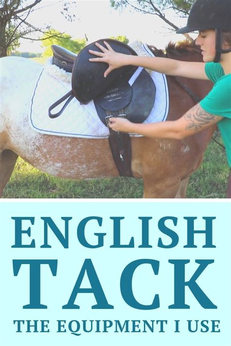 English Tack For Beginners English Horseback Riding Horseback Riding