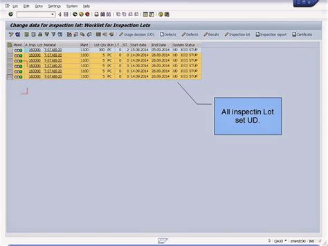 青蛙SAP分享 Froggy s SAP sharing SAP ERP QM Stability Study Step 6