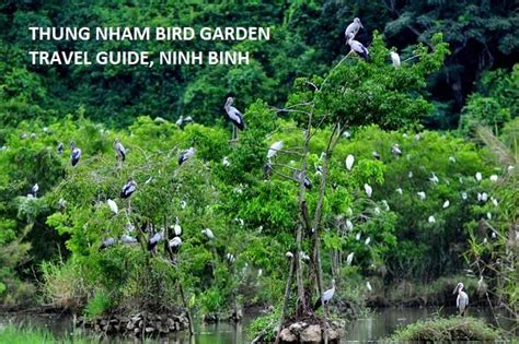 Thung Nham Bird Garden Travel Guides Tips Hanoieco