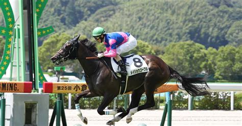 【2歳新馬・小倉5r】メイショウゴーフルが2番手から抜け出し快勝！ サンスポzbat