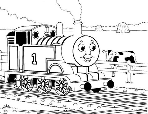 sapi  thomas  kereta