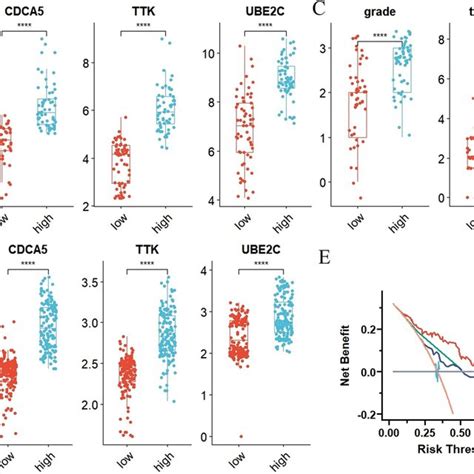 The Expression Levels Of Hub Genes And Clinical Traits In Low And High