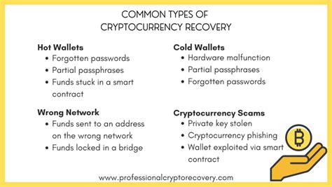 A Deep Dive into Cryptocurrency Recovery - Professional Crypto Recovery