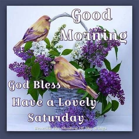 Good Morning God Bless Have A Lovely Saturday Pictures Photos And