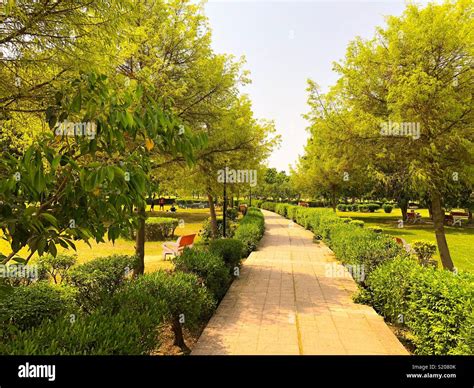 Beautiful Landscape of japanese park in New Delhi,India Stock Photo - Alamy