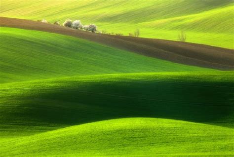 South Moravian landscape near kyjov Czech Republic -- صور من الطبية من ...